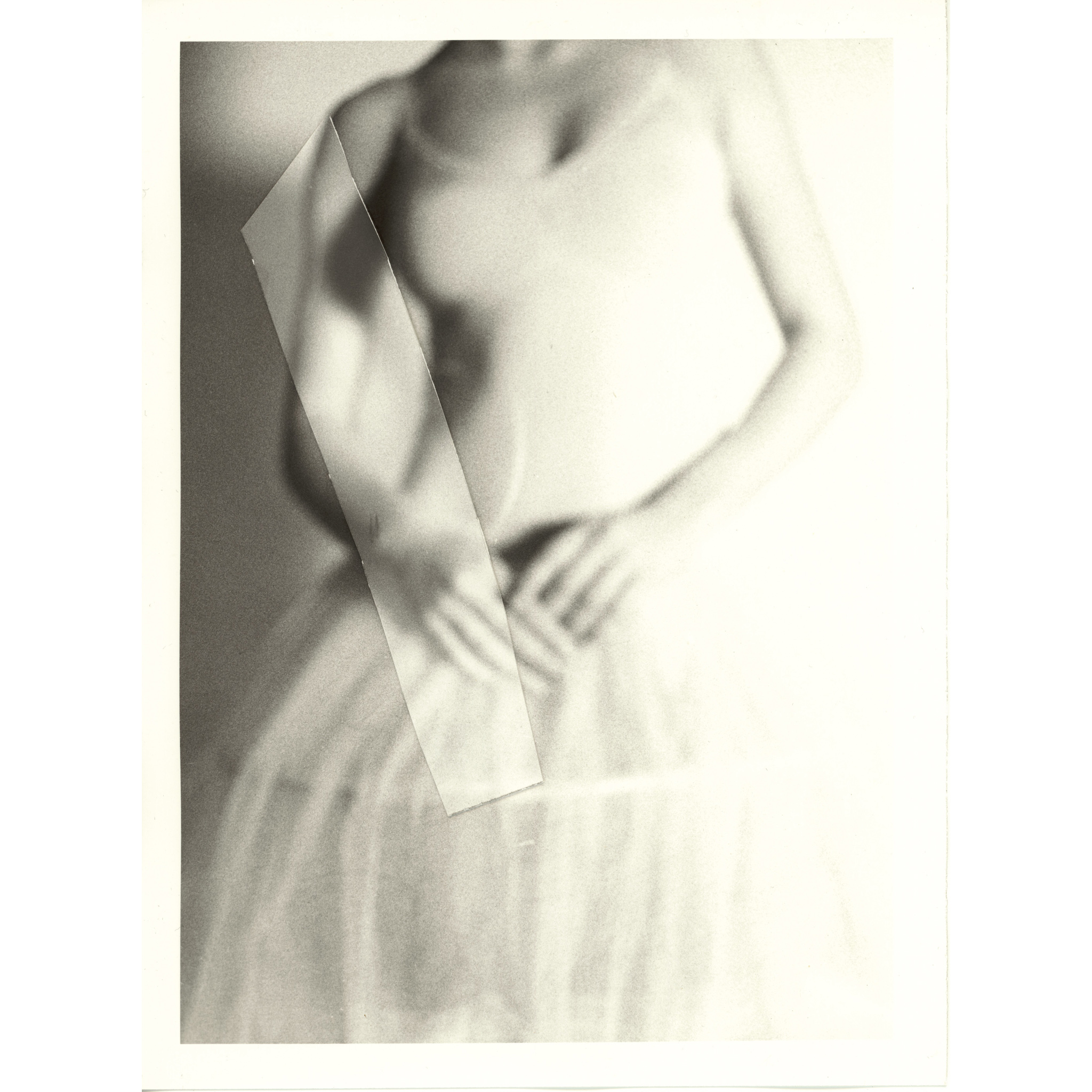 form of hands | Limited Edition |